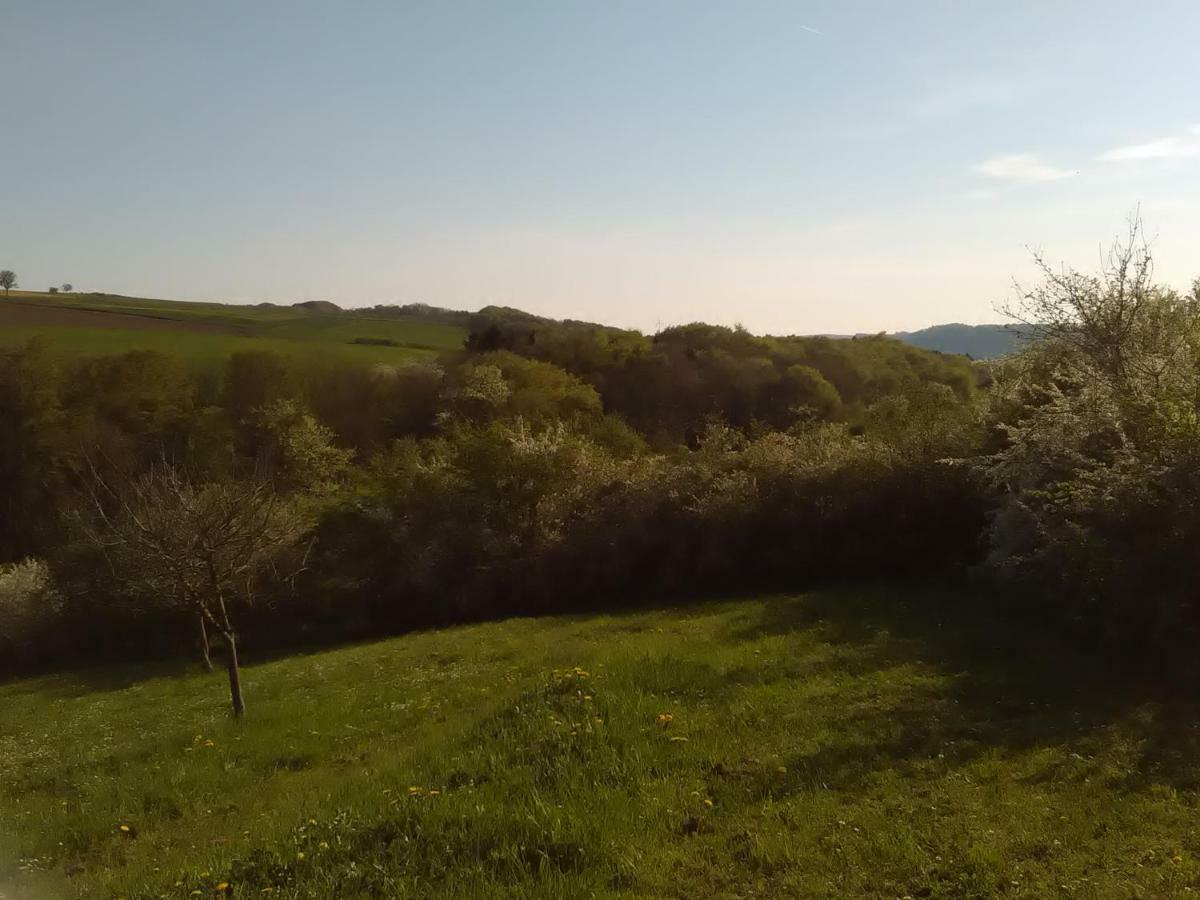 Ferienwohnung Barzen Ralingen Экстерьер фото